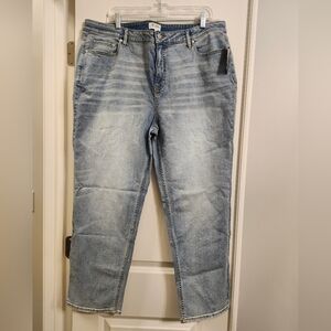 Candace Cameron Bure Women’s Plus 20WP Jeans Light Wash Straight Leg 28” Inseam